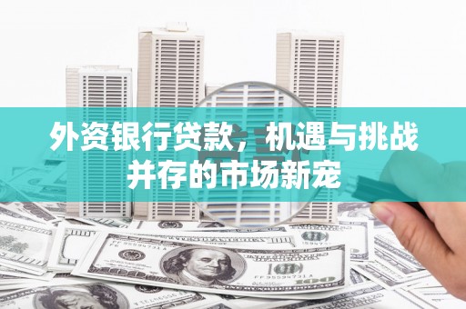 西岗外资银行贷款，机遇与挑战并存的市场新宠