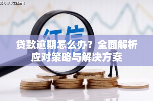 学甲贷款逾期怎么办？全面解析应对策略与解决方案