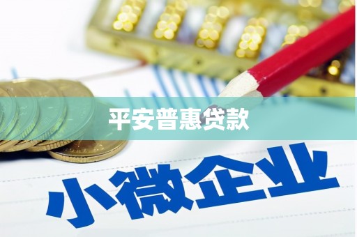 索县平安普惠贷款