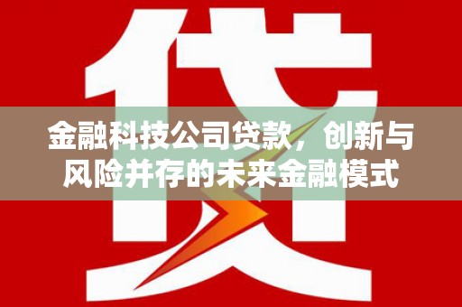 红星金融科技公司贷款，创新与风险并存的未来金融模式