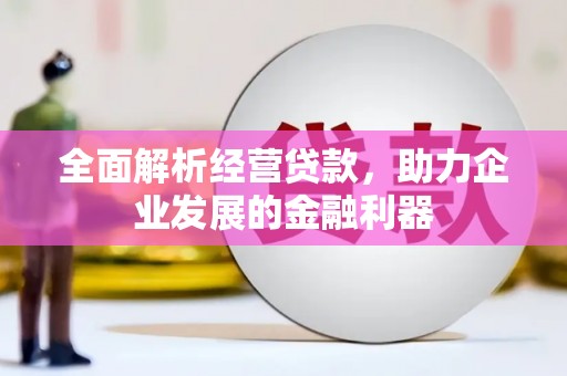 凌海全面解析经营贷款，助力企业发展的金融利器