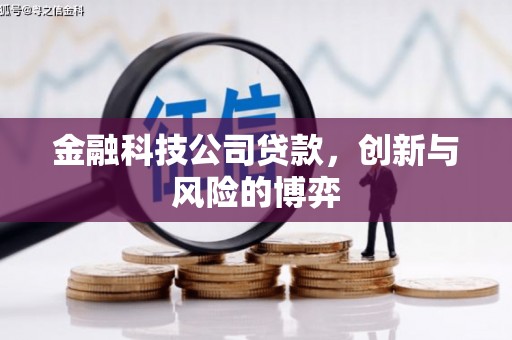 碑林金融科技公司贷款，创新与风险的博弈