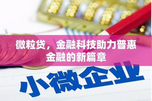 阜康微粒贷，金融科技助力普惠金融的新篇章