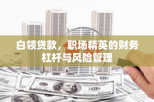 禹会白领贷款，职场精英的财务杠杆与风险管理