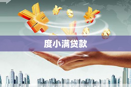 太和度小满贷款