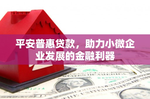 木垒平安普惠贷款，助力小微企业发展的金融利器