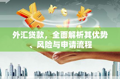 吴桥外汇贷款，全面解析其优势、风险与申请流程