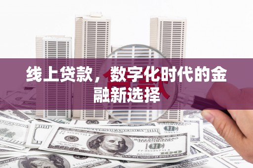 武川线上贷款，数字化时代的金融新选择