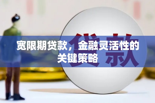 绩溪宽限期贷款，金融灵活性的关键策略