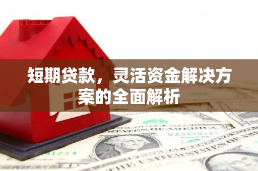 博湖短期贷款，灵活资金解决方案的全面解析