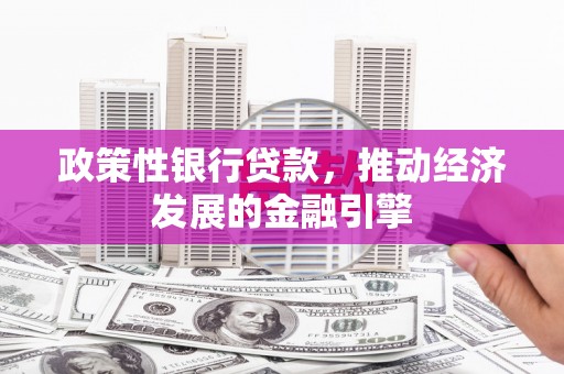 布拖政策性银行贷款，推动经济发展的金融引擎