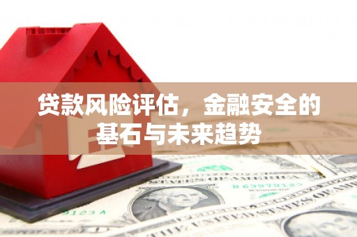 云和贷款风险评估，金融安全的基石与未来趋势