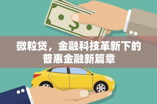 花地玛堂区微粒贷，金融科技革新下的普惠金融新篇章