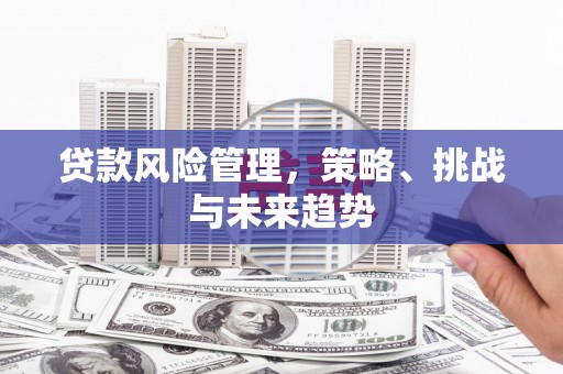弥陀贷款风险管理，策略、挑战与未来趋势