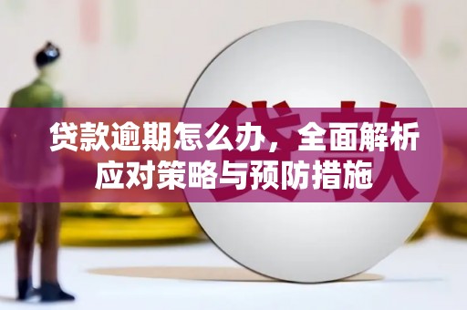 蒙阴贷款逾期怎么办，全面解析应对策略与预防措施