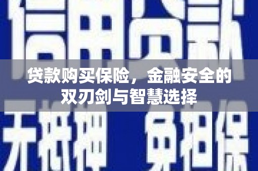 宿松贷款购买保险，金融安全的双刃剑与智慧选择
