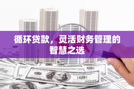 漳州循环贷款，灵活财务管理的智慧之选