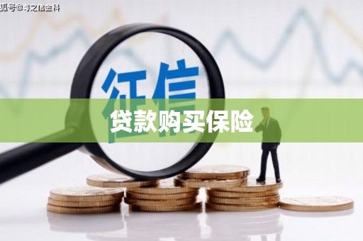 丹徒贷款购买保险