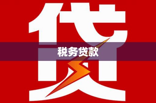 礼县税务贷款