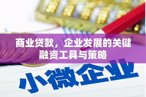 凉山商业贷款，企业发展的关键融资工具与策略
