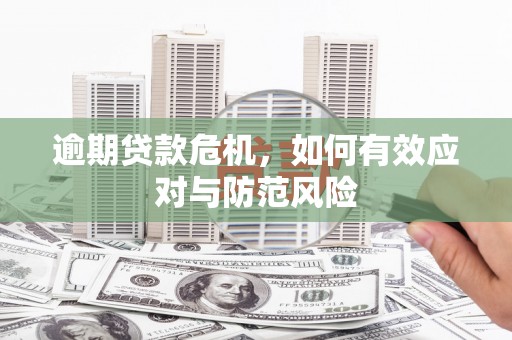 盐湖逾期贷款危机，如何有效应对与防范风险