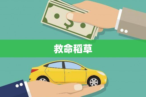 舞阳救命稻草