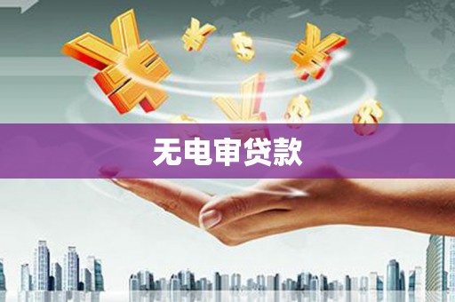 天元无电审贷款