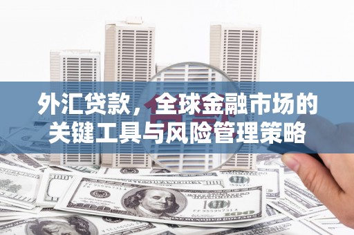 海陵外汇贷款，全球金融市场的关键工具与风险管理策略