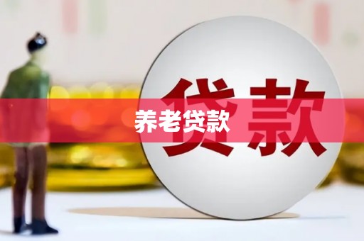 新埔养老贷款