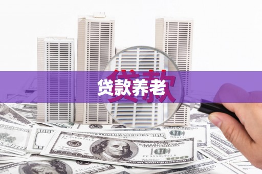 崖州贷款养老