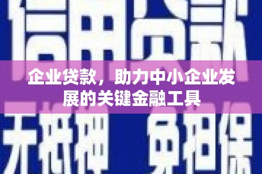 广水企业贷款，助力中小企业发展的关键金融工具