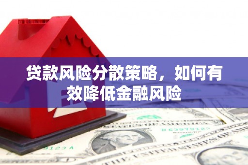 九龙贷款风险分散策略，如何有效降低金融风险