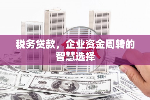 沂源税务贷款，企业资金周转的智慧选择