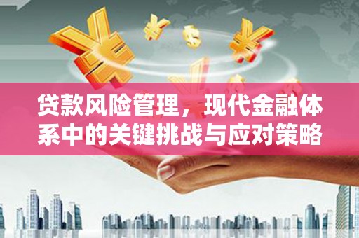 天宁贷款风险管理，现代金融体系中的关键挑战与应对策略