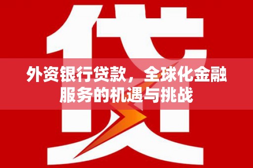 昭平外资银行贷款，全球化金融服务的机遇与挑战