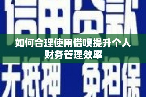 南郊如何合理使用借呗提升个人财务管理效率