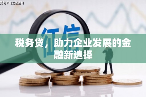 进贤税务贷，助力企业发展的金融新选择