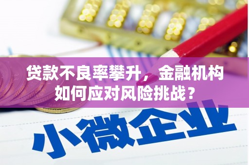 乐都贷款不良率攀升，金融机构如何应对风险挑战？