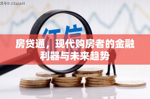 天元房贷通，现代购房者的金融利器与未来趋势