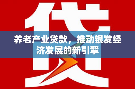 沽源养老产业贷款，推动银发经济发展的新引擎