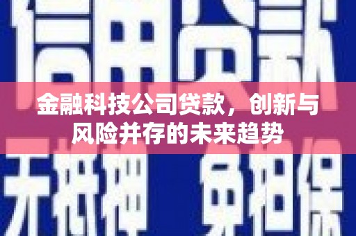 天等金融科技公司贷款，创新与风险并存的未来趋势