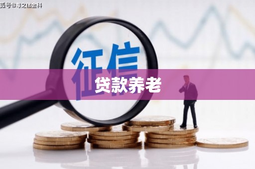 灵武贷款养老