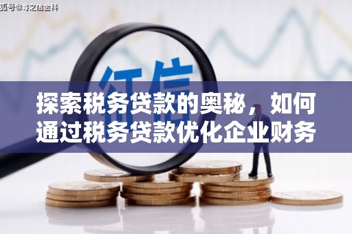 遂昌探索税务贷款的奥秘，如何通过税务贷款优化企业财务