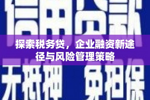 坪山新区探索税务贷，企业融资新途径与风险管理策略