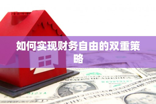 静乐如何实现财务自由的双重策略