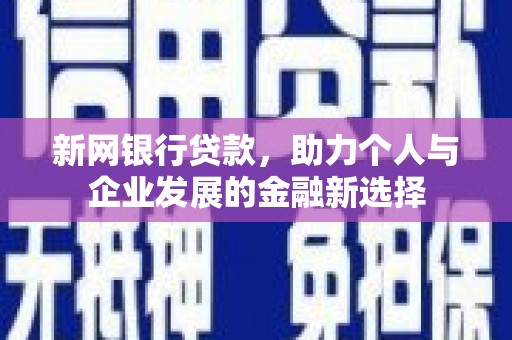 琼中新网银行贷款，助力个人与企业发展的金融新选择