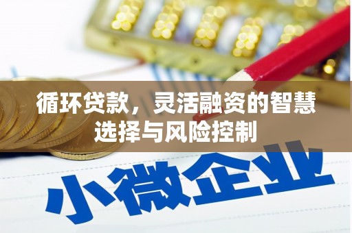 乌尔禾循环贷款，灵活融资的智慧选择与风险控制