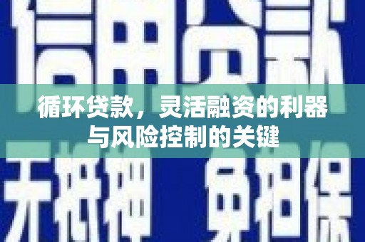 顺城循环贷款，灵活融资的利器与风险控制的关键