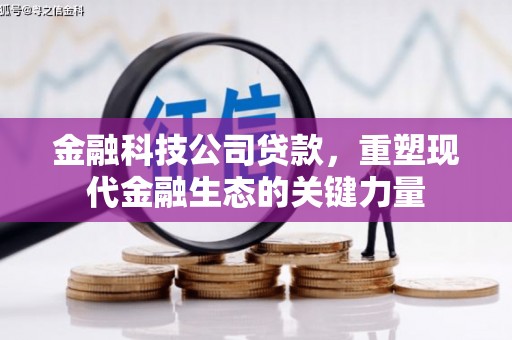 巧家金融科技公司贷款，重塑现代金融生态的关键力量