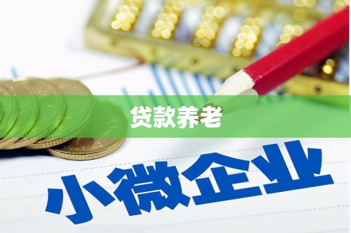 濉溪贷款养老